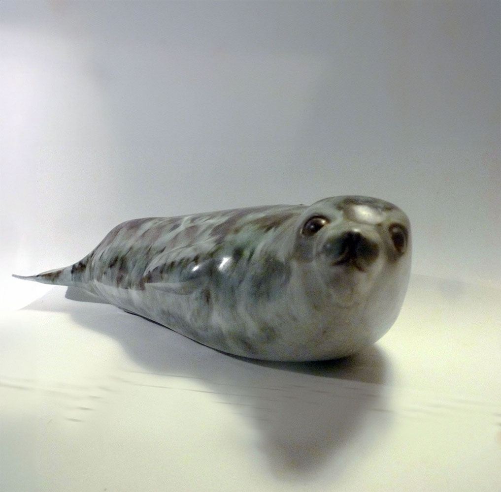 Antarctic Seal - Image 5